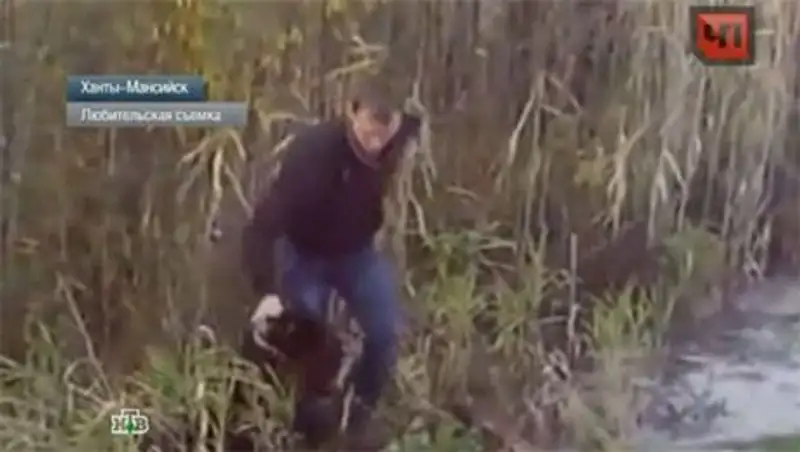 В ХМАО нашли мужчину, избившего медвежонка железной трубой