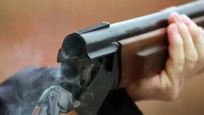 pikabu.ru, фото - Новости Zakon.kz от 23.10.2019 10:35