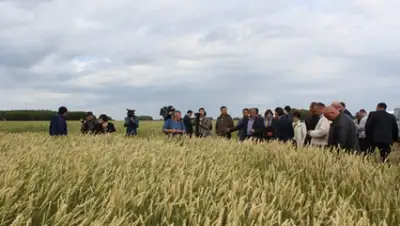 Zakon.kz, фото - Новости Zakon.kz от 03.12.2015 22:22