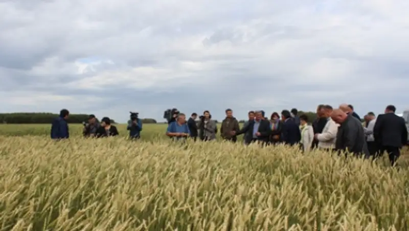 Нацхолдинг «КазАгро» стимулирует объединение крестьян в кооперативы              