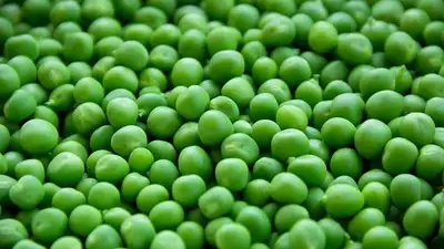 советы, врач, фото - Новости Zakon.kz от 11.06.2023 19:48