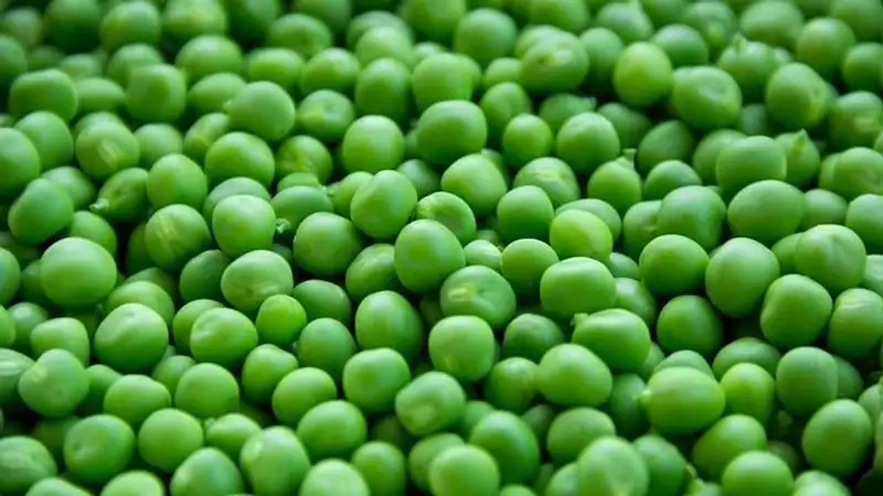 Какие продукты полезны для мозга