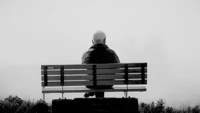 pixabay.com, фото - Новости Zakon.kz от 15.05.2020 18:45