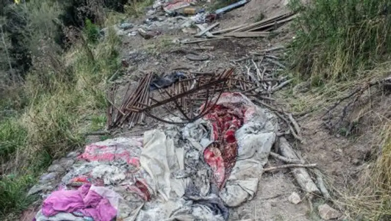 Экологи озабочены состоянием Иле-Алатауского нацпарка