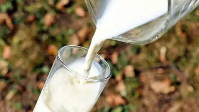 Казахстан, фото - Новости Zakon.kz от 23.02.2023 09:53