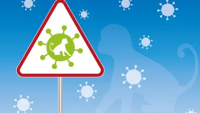 Эксперты переименовали, фото - Новости Zakon.kz от 13.08.2022 18:22