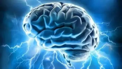 Zakon.kz, фото - Новости Zakon.kz от 21.11.2017 12:17