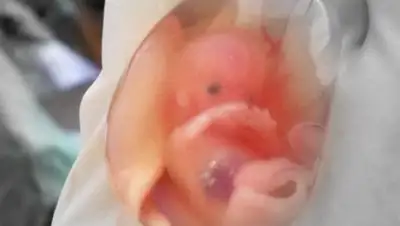 Zakon.kz, фото - Новости Zakon.kz от 06.10.2014 20:46