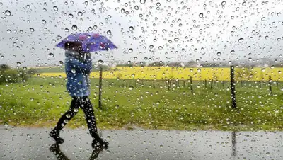 sverigesradio.se, фото - Новости Zakon.kz от 26.06.2020 12:11