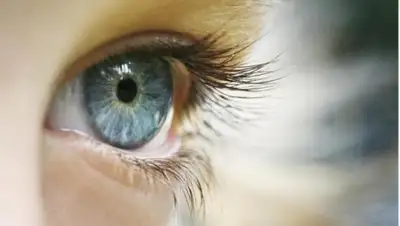 Zakon.kz, фото - Новости Zakon.kz от 16.06.2015 17:00