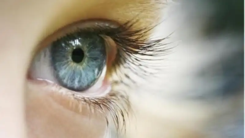 В Караганде суд вернул приемного ребенка в семью, где с ним жестоко обращались