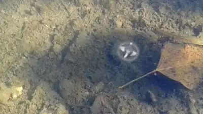 Zakon.kz, фото - Новости Zakon.kz от 08.10.2014 18:44