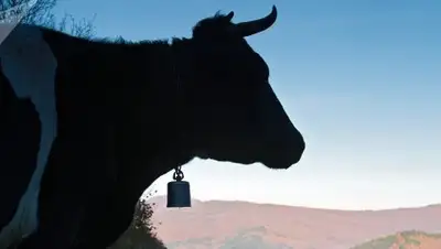 Zakon.kz, фото - Новости Zakon.kz от 19.08.2017 11:15