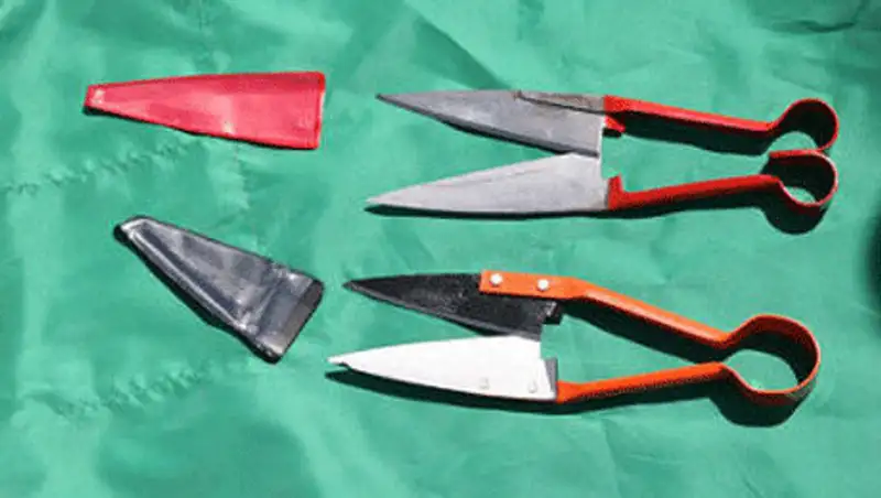 Пьяный отец заколол ножницами своего сына в Павлодарской области