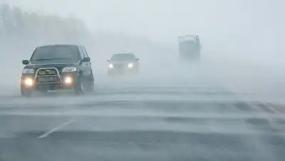 Zakon.kz, фото - Новости Zakon.kz от 19.10.2016 05:06