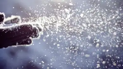 Zakon.kz, фото - Новости Zakon.kz от 13.01.2017 12:00