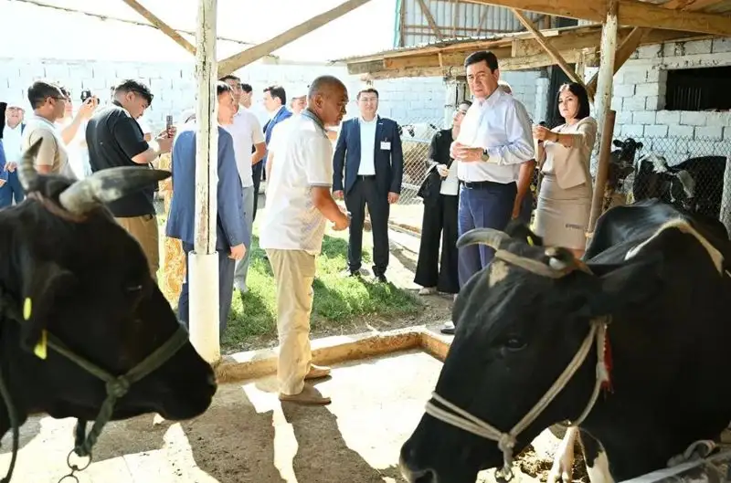 От долговой ямы до собственной фермы: глава Amanat познакомился с участниками партийных проектов, фото - Новости Zakon.kz от 11.07.2023 13:36