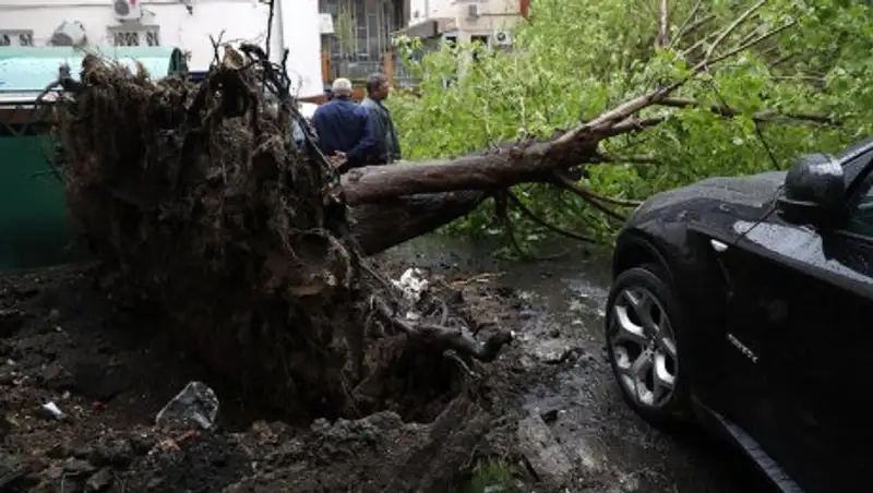 Число пострадавших при урагане в Москве приблизилось к 140