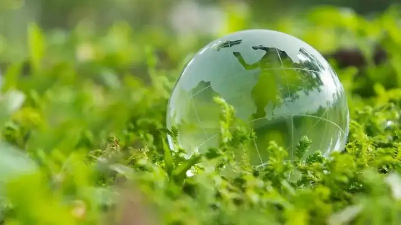 В Кызылорде презентовали новое анимационное методическое пособие "Познание мира"