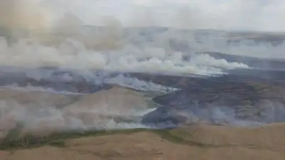 степь, фото - Новости Zakon.kz от 15.07.2023 10:45