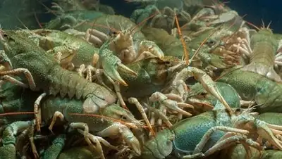 Zakon.kz, фото - Новости Zakon.kz от 24.05.2014 23:41