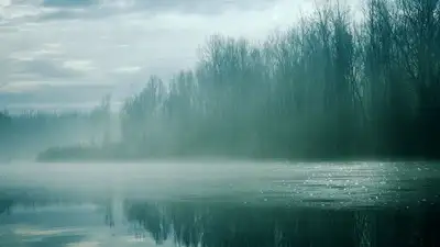 туман, фото - Новости Zakon.kz от 27.04.2023 23:04