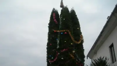 Zakon.kz, фото - Новости Zakon.kz от 23.12.2014 20:25