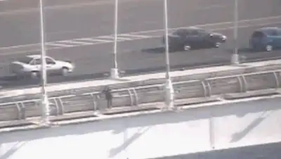 кадр из видео, фото - Новости Zakon.kz от 03.09.2020 11:37