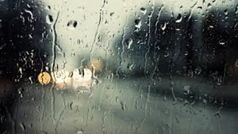 Дожди и грозы ожидаются в Казахстане в пятницу