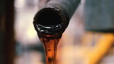 Zakon.kz, фото - Новости Zakon.kz от 03.12.2014 15:32