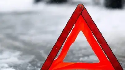 из открытых источников, фото - Новости Zakon.kz от 08.01.2019 19:23