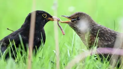 Zakon.kz, фото - Новости Zakon.kz от 05.08.2017 04:16