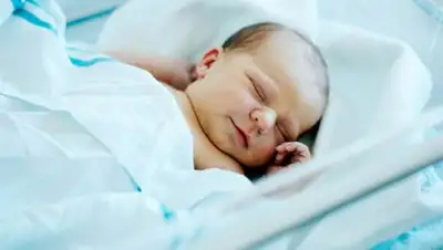 Zakon.kz, фото - Новости Zakon.kz от 15.12.2016 19:04