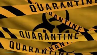 pixabay.com, фото - Новости Zakon.kz от 07.12.2020 11:04