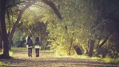 pixabay.com, фото - Новости Zakon.kz от 19.10.2021 16:42