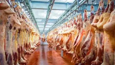 Алау, фото - Новости Zakon.kz от 24.05.2019 12:31