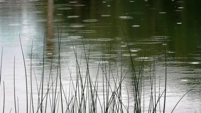 Какая погода будет в ближайшие три дня в Казахстане