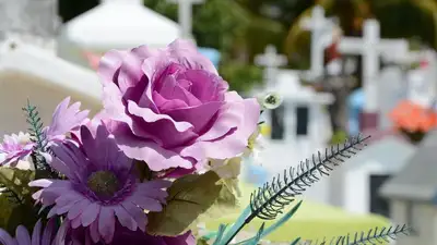 Кладбище, фото - Новости Zakon.kz от 03.07.2023 09:55