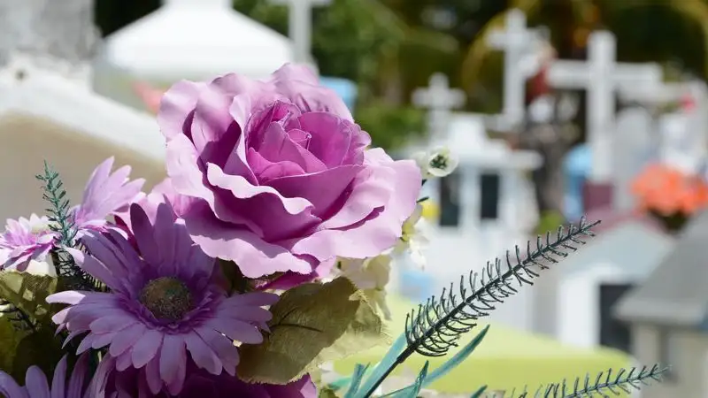 В Великобритании запустили экологически чистую кремацию