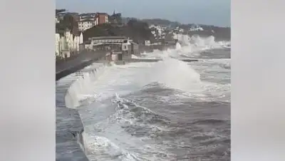 Zakon.kz, фото - Новости Zakon.kz от 05.02.2017 20:16