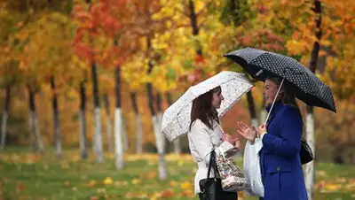 Zakon.kz, фото - Новости Zakon.kz от 02.09.2017 06:00