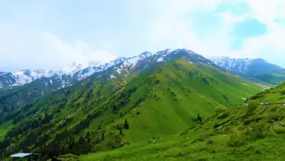 Pixabay, фото - Новости Zakon.kz от 19.05.2020 21:26