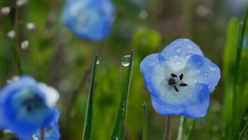 7 августа на большей части Казахстана сохраняются дожди с грозами