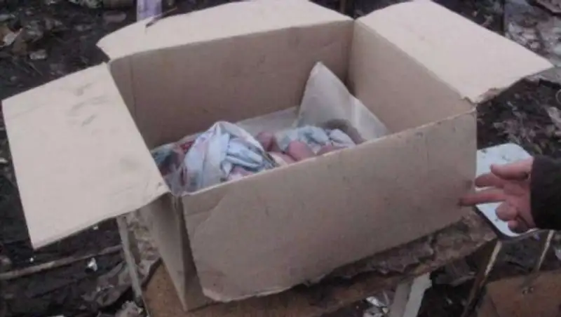 Младенец, найденный на трассе в Мангистауской области, умер от переохлаждения