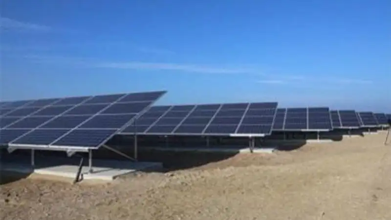 Крупную СЭС площадью 150 гектаров запускают в Жамбылской области