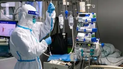 pixabay.com, фото - Новости Zakon.kz от 31.10.2020 10:06