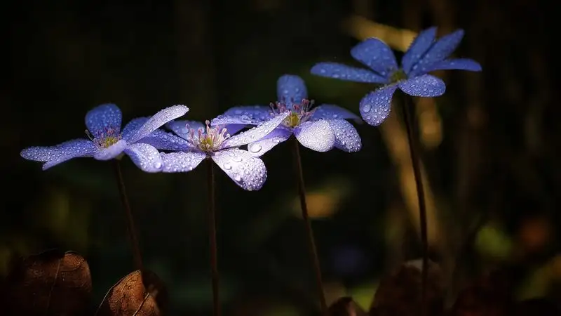 Гороскоп для представителей всех знаков зодиака