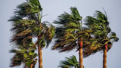 Сильные ветры и туман ожидаются в нескольких регионах Казахстана, фото - Новости Zakon.kz от 25.03.2023 16:05