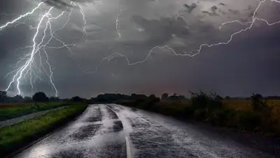 infocampo, фото - Новости Zakon.kz от 02.06.2020 06:00