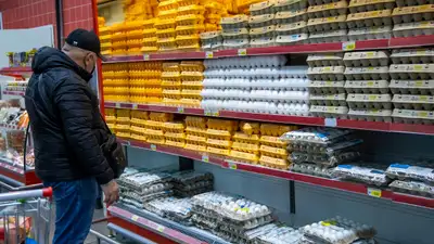 Действительно ли цена яиц имеет сезонный характер, фото - Новости Zakon.kz от 02.02.2024 20:11